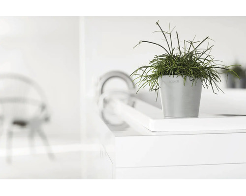 Grå Ecopots blomkruka med grön växt i en ljus, modern och minimalistisk miljö.