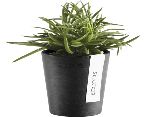 Grön inomhusväxt i en antracitfärgad Ecopots blomkruka tillverkad av återvunnen plast.