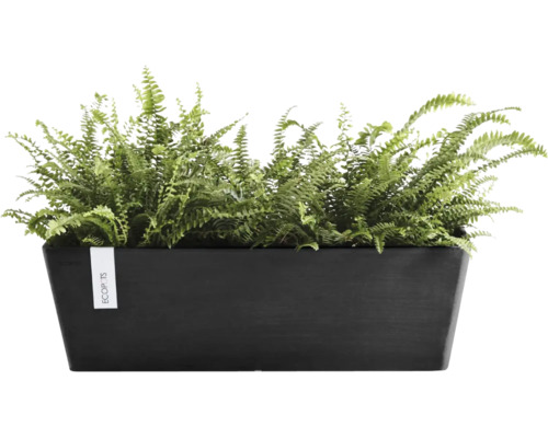 Rektangulär svart Ecopots planteringslåda med gröna ormbunkar.