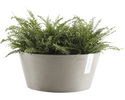 Ormbunke i en rund grå blomkruka från Ecopots.