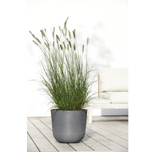 Modern grå Ecopots ytterkruka med högt prydnadsgräs på en ljus träterrass framför en vit vägg och trädgårdsmöbler.
