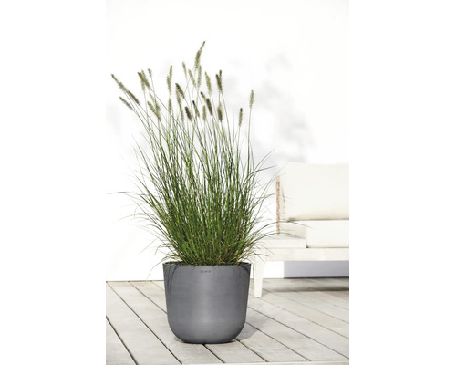 Modern grå Ecopots ytterkruka med högt prydnadsgräs på en ljus träterrass framför en vit vägg och trädgårdsmöbler.