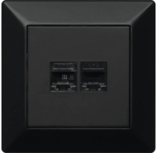 Svart datauttag med två anslutningar