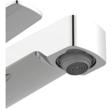 Närbild av en kranpip