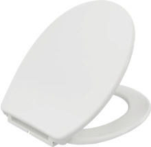 Toalettsits av plast