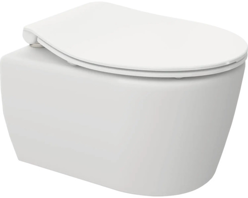 Vägghängd toalett av keramik med toalettsits