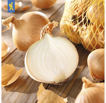 Lökar, några skurna, på träbord