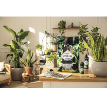 LECHUZA-PON växtsubstrat för krukväxter på ett bord med krukväxter