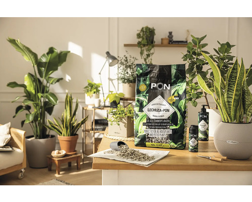 LECHUZA-PON växtsubstrat för krukväxter på ett bord med krukväxter