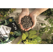 En handfull Lechuza Pon växtsubstrat ovanför ett paket och växter