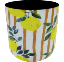 Mugg med citronmotiv och ränder