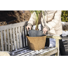 Kvinna placerar växt i en blomkruka med kokosfiberinsats på en bänk utomhus.