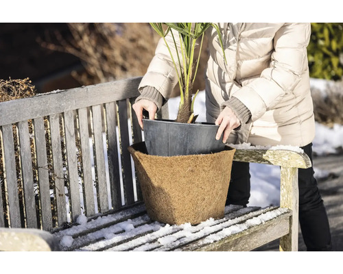 Kvinna placerar växt i en blomkruka med kokosfiberinsats på en bänk utomhus.