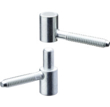 Två inskruvningsbara gångjärn av metall för trädörrar och grindar