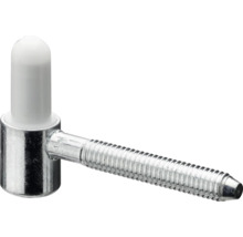 Gångjärn med bult och plastlock