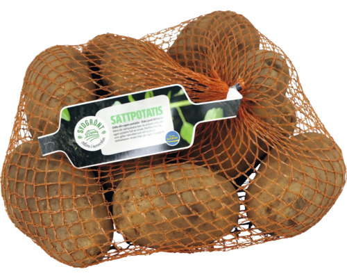 Nät med sättpotatis