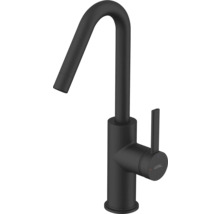 Avital köksblandare med hög pip