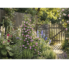 Trädgårdsscen med växtstöd, blommor och trädgårdsgång