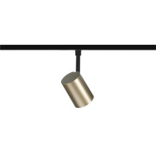 Cylindrisk skenspot i metall med mässingsfärgat lamphuvud och svart fäste.