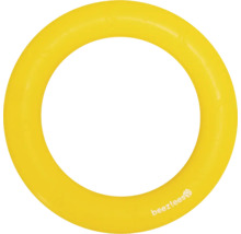 Gul Beestees hundfrisbee