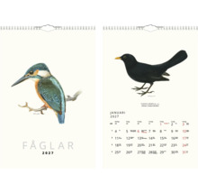 Väggkalender för år 2027 med fågelillustrationer av en kungsfiskare och en koltrast, med spiralbindning.