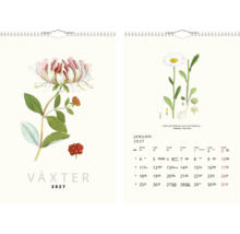 Väggkalender 2027 med botaniska illustrationer av blommor och växter.