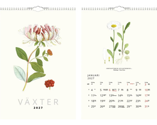 Väggkalender 2027 med botaniska illustrationer av blommor och växter.