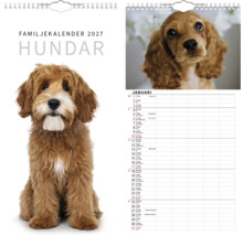 Familjekalender 2027 med hundmotiv. Omslag med en brun och vit hund, insida för januari med valpbild och kolumner för planering.