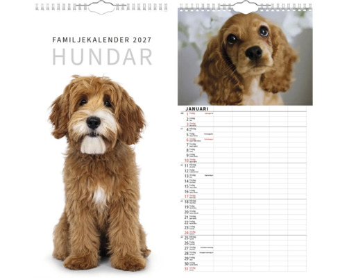 Familjekalender 2027 med hundmotiv. Omslag med en brun och vit hund, insida för januari med valpbild och kolumner för planering.