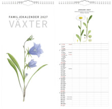 Familjekalender 2027 Växter med botaniska illustrationer, omslag med blåklocka och januarisida med prästkrage och kolumner.