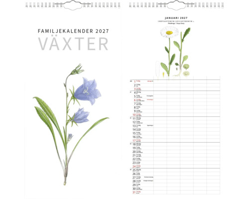 Familjekalender 2027 Växter med botaniska illustrationer, omslag med blåklocka och januarisida med prästkrage och kolumner.