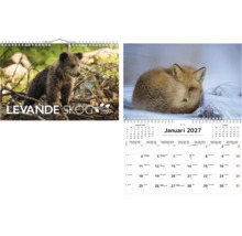 Väggkalender 2027 med naturtema. Framsida med en björnunge i skogen, insida med en räv och kalendarium för januari.