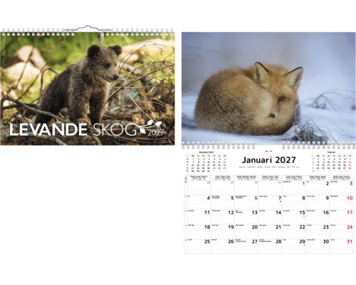 Väggkalender 2027 med naturtema. Framsida med en björnunge i skogen, insida med en räv och kalendarium för januari.