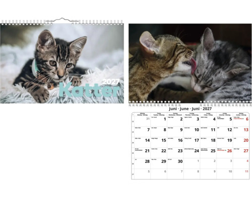 Väggkalender 2027 med kattmotiv, visar en randig kattunge på omslaget och två kelande katter i juni månad.