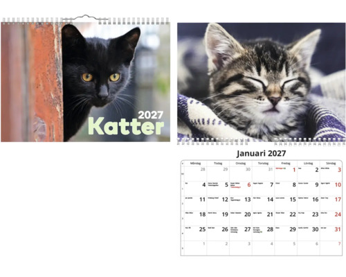 Väggkalender 2027 Katter med kattmotiv, spiralbindning, omslag med svart katt och månadsöversikt januari med sovande vildkatt.