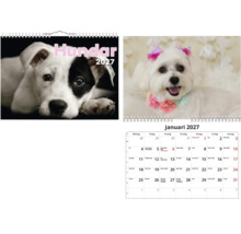 Väggkalender Hundar 2027 med hundbilder och månadsöversikt för januari.