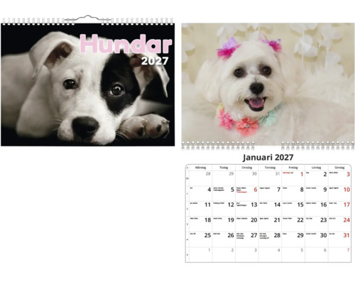 Väggkalender Hundar 2027 med hundbilder och månadsöversikt för januari.