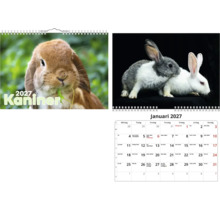 Väggkalender 2027 med kaninmotiv, inklusive omslag med en brun kanin och månadsöversikt med kalenderraster.