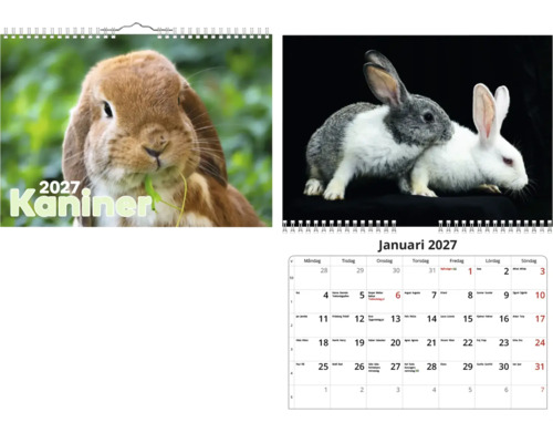 Väggkalender 2027 med kaninmotiv, inklusive omslag med en brun kanin och månadsöversikt med kalenderraster.