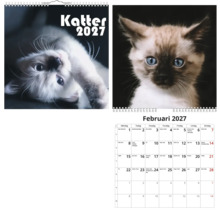Väggkalender Katter 2027 med kattmotiv, månadsvy februari.