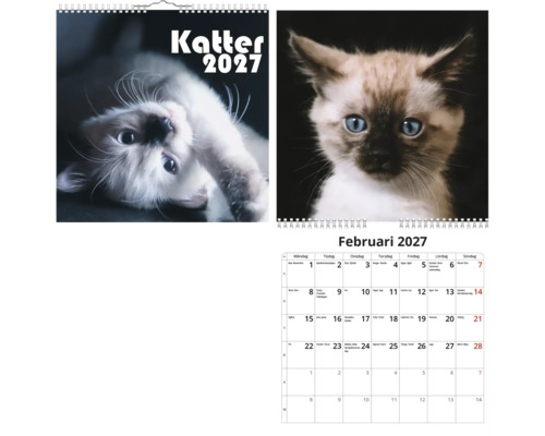 Väggkalender Katter 2027 med kattmotiv, månadsvy februari.