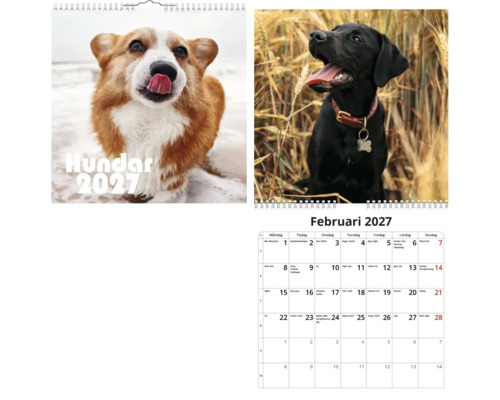 Väggkalender 2027 med hundmotiv, framsida med en corgi och månadssida för februari med en svart hund.