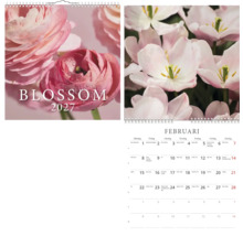 Väggkalender 2027 med blommotiv, omslag med rosa blommor och texten Blossom 2027, kalenderblad för februari med tulpaner.