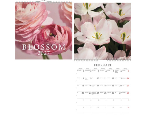 Väggkalender 2027 med blommotiv, omslag med rosa blommor och texten Blossom 2027, kalenderblad för februari med tulpaner.