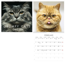 Väggkalender Grumpy Cats 2027 med kattporträtt, visar omslaget och månadsöversikten för februari.