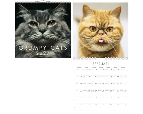 Väggkalender Grumpy Cats 2027 med kattporträtt, visar omslaget och månadsöversikten för februari.
