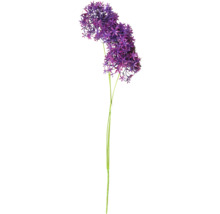 Konstgjord allium med lila blomhuvuden och en lång grön stjälk.