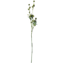 Konstgjord grön blomstjälk tistel med blad för dekoration.
