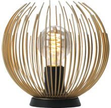 Bordslampa med metallram och glödlampa