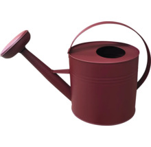 Vattenkanna av metall